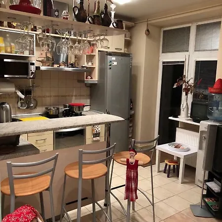 Kaunas Apartment Κάουνας